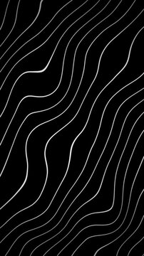 Fluid motion of white wavy lines on black background: abstract flowing design