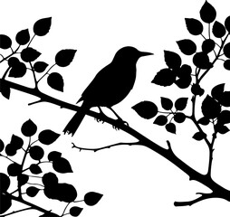 A tranquil silhouette of a bird perched on a leafy tree branch, capturing the serene beauty of nature, ideal for peaceful and organic designs, illustrations, or decorative accents.