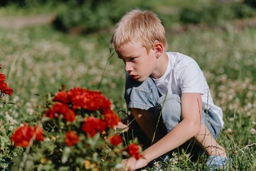 A boy with hearing aids carefully tends to blooming roses in a sunlit garden, showcasing inclusive gardening and the therapeutic joy of nature. Authentic moment of childhood wonder and nurturing