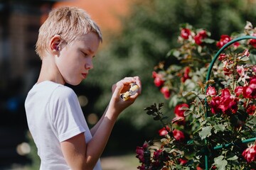 A boy with hearing aids carefully tends to blooming roses in a sunlit garden, showcasing inclusive...