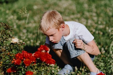 A boy with hearing aids carefully tends to blooming roses in a sunlit garden, showcasing inclusive...