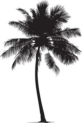 palm tree silhouette