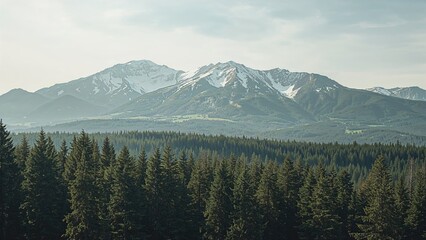 Obraz premium mountainous landscape with snow-capped peaks and dense evergreen forest under a cloudy sky in a national park setting