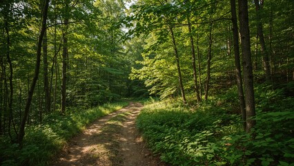 Hiking Path Across Roan Mountain Ridge