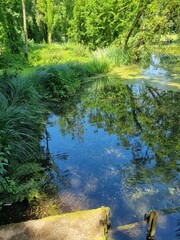 ein kleiner Teich im Park
