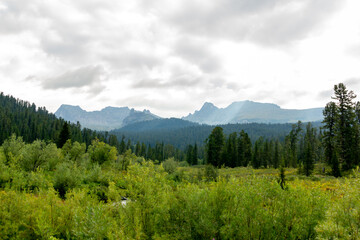 Mountain landscape. A mountain range among a coniferous forest on a cloudy day. Ergaki Nature Park