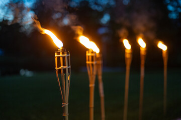 Tiki Torches Burning Bright in the Evening Twilight