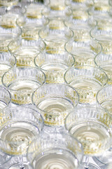 Champagne Glasses in Rows Ready for Celebration