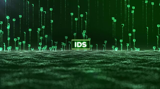 Matrix Binary Code and Intrusion Detection System Word