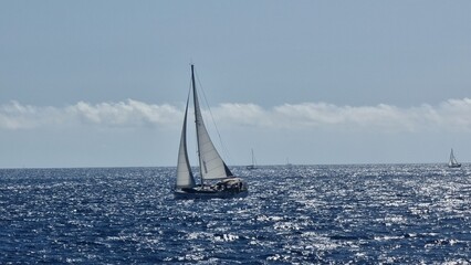 Obraz premium sailing ships on the sea for background