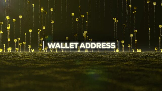 Matrix Binary Code and Wallet Address Word