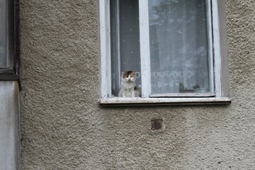 window on a wall
