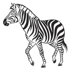 Fototapeta premium zebra vector illustration