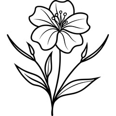 Flax Flower line art vector