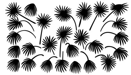 vector black palm leaves set. Clip art isolated on transparent background.