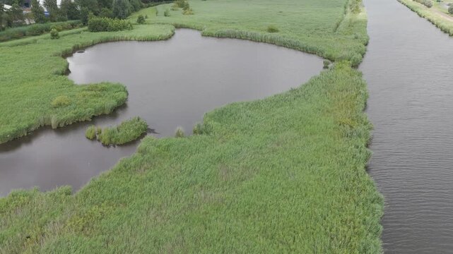 Forward Drone Flight Over Dutch Wetlands with Wind on Water and Reeds