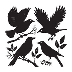 Obraz premium Set of black bird silhouettes. Vector elements for design.