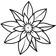 Edelweiss line art vector