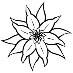 Edelweiss line art vector