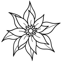 Edelweiss line art vector
