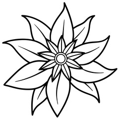 Edelweiss line art vector