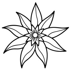 Fototapeta premium Edelweiss line art vector
