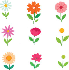 Assorted Colorful Floral Collection Flat Vector Illustrations