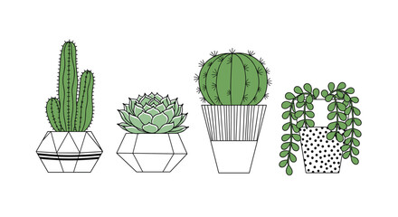 Collection of four diverse potted cactus and succulent plants in geometric and patterned pots for indoor decor