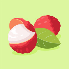 lychee fruit illustration vector stock