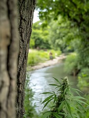 image of green plant in nature with lake
