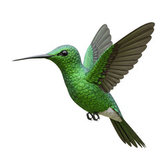 Obraz premium hummingbird in flight