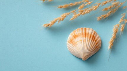 Obraz premium Delicate Seashell and Dried Grass on Soft Blue Background