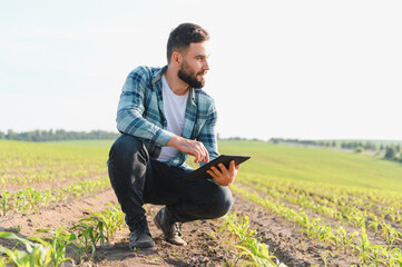 Farmer examining corn crop with digital tablet in field