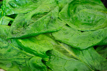 Close up of green spinach leaves being cooked