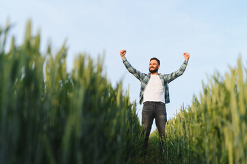 Happy farmer raising arms in cultivated wheat field before harvest