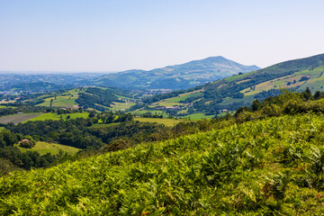 Panoramic Landscape of the Basque Hills Around Ainhoa