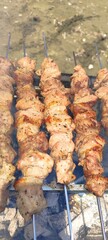 Street food, meat grilled over a fire. Grilled meat skewers on barbecue outdoors.