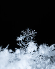 Macro snowflakes showing intricate winter details on dark background