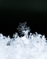 Macro snowflakes showing intricate winter details on dark background