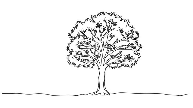 animated continuous single line drawing of a broadleaf tree, line art animation