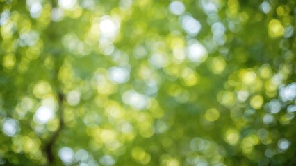 Fototapeta premium Abstract blurred green light bokeh pattern