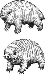 Tardigrade water bear moss piglet micro animal sketch engraving vector illustration. Tee shirt apparel print design. Scratch board style imitation. Black and white hand drawn image. © EaseDesign