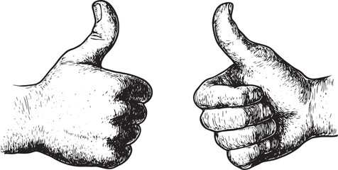 Thumb up and down recommend hand gesture sketch engraving vector illustration. Recommend. Scratch board imitation. Black and white hand drawn image.