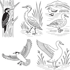 Naklejka premium Line Art Birds Set - Perching, Flying, and Standing Illustrations