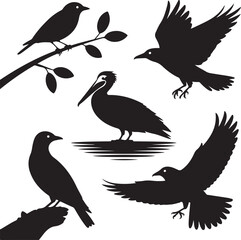 Obraz premium Black Bird Silhouettes Set - Flying, Perching, and Standing