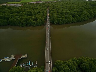 Morning traffic on bridge with river and mangrove area.