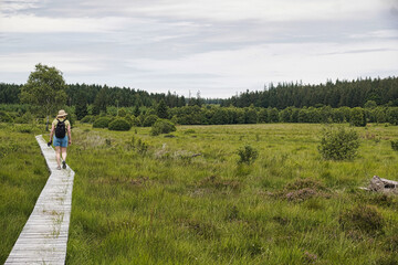 Obraz premium Wanderung durch die Moorlandschaft des hohen Venn in Belgien