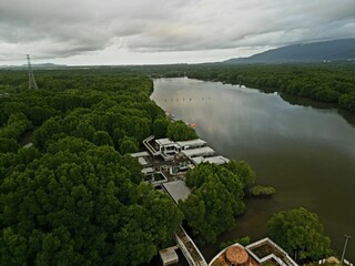 Morning traffic on bridge with river and mangrove area.