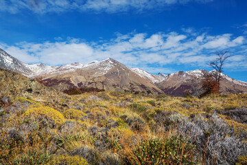 Autumn in Patagonia