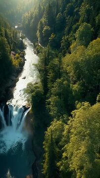 Aerial View of Waterfall Flowing Through Lush Forest at Sunrise